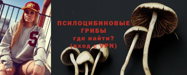 спайс Ладушкин