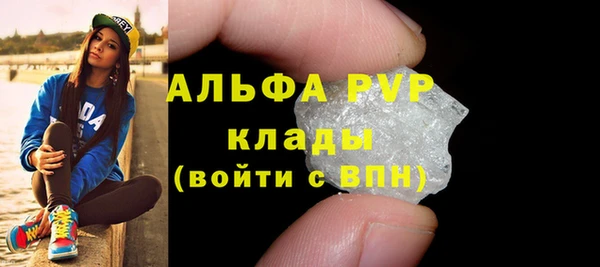 спайс Ладушкин