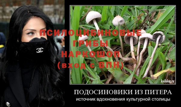 каннабис Лабытнанги