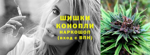 спайс Ладушкин