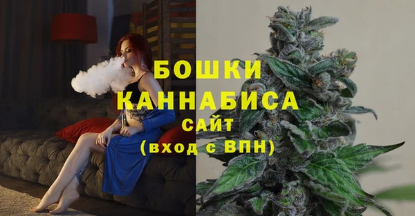 спайс Ладушкин