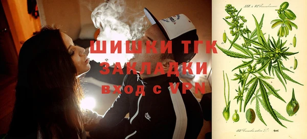 спайс Ладушкин